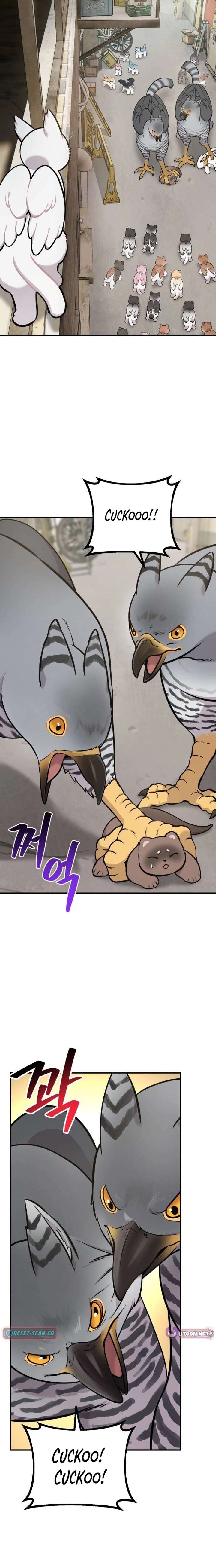 ch 39 15