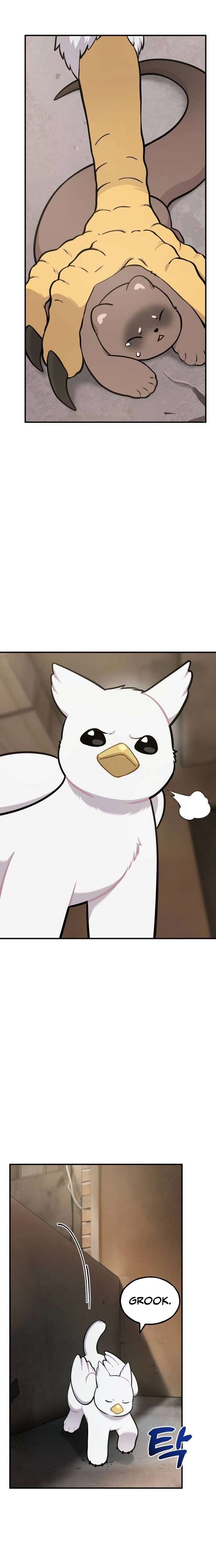 ch 39 16