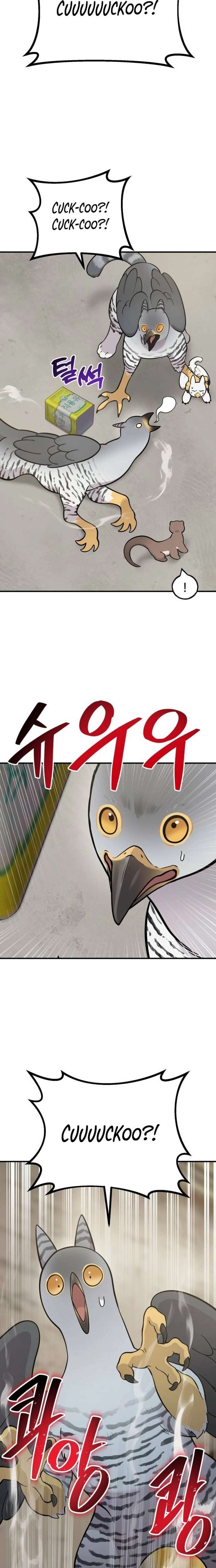 ch 39 19