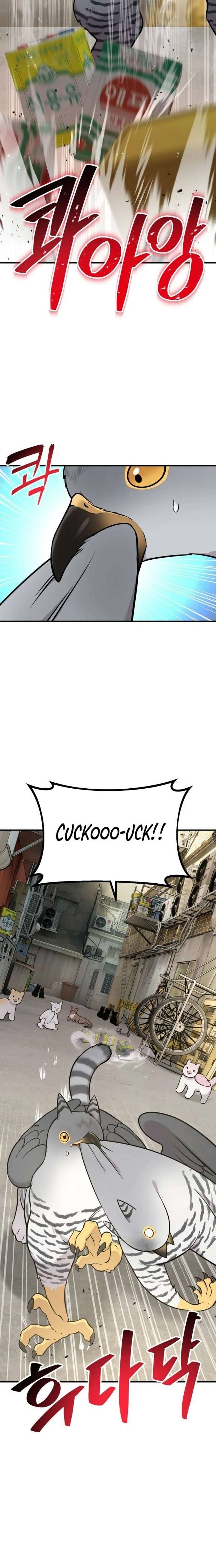 ch 39 20