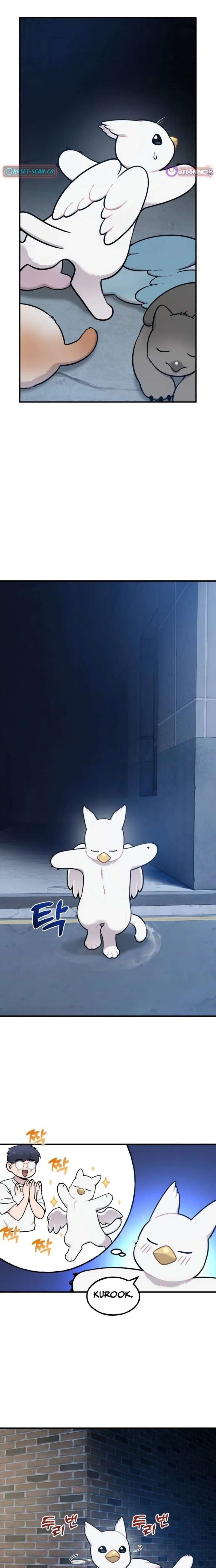 ch 40 19