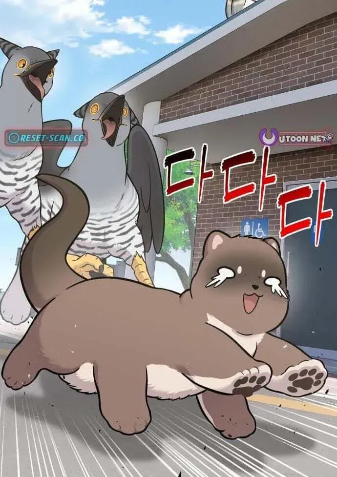 Hello, Griffin the Fluffy Bird! Chapter 50 391 0fa66193fdda