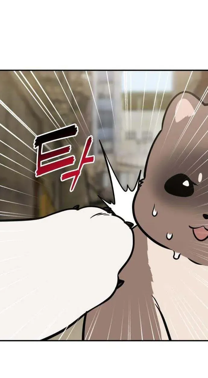 Hello, Griffin the Fluffy Bird! Chapter 50 370 18b7dc98191d