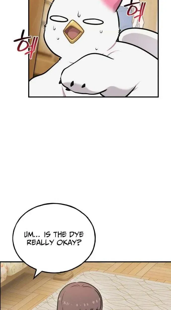 Hello, Griffin the Fluffy Bird! Chapter 50 306 3a3990ca176c