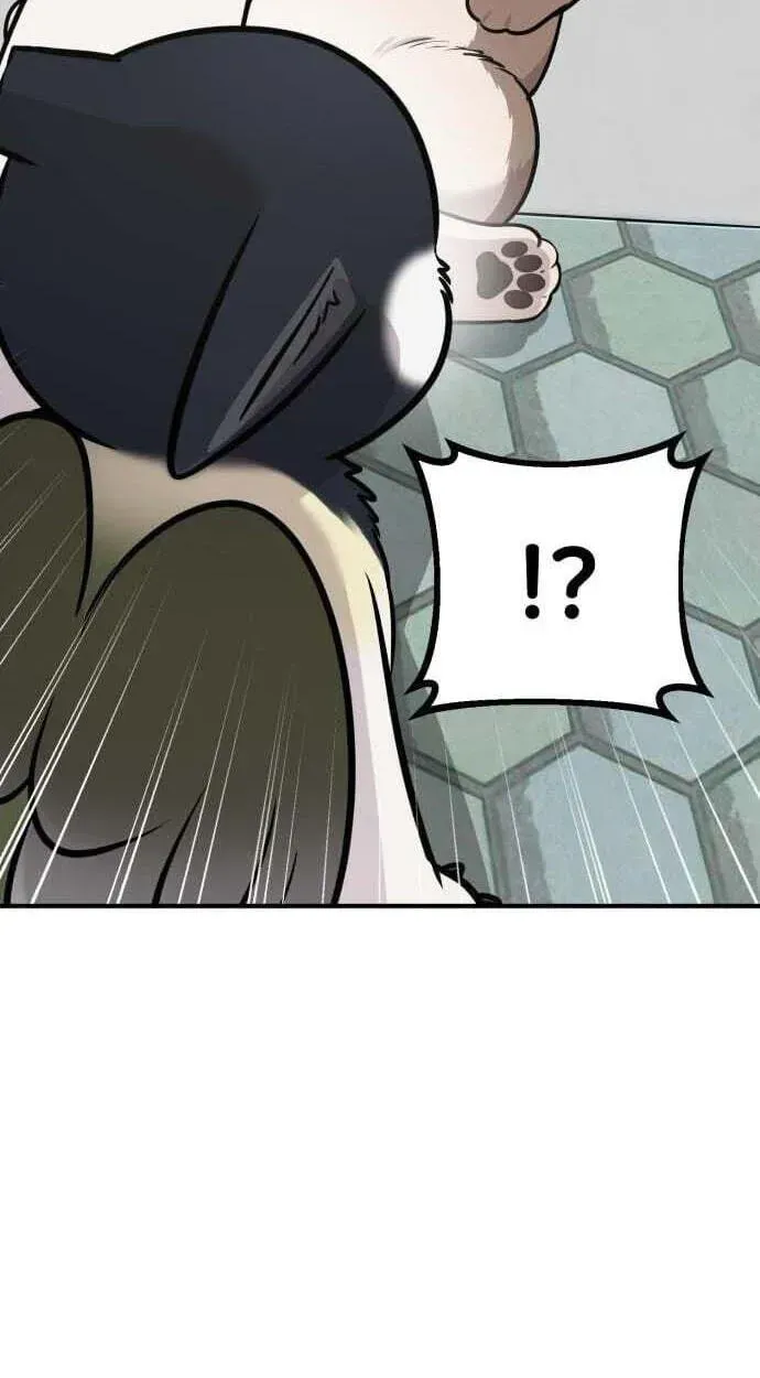 Hello, Griffin the Fluffy Bird! Chapter 50 377 6bdd75a0761f
