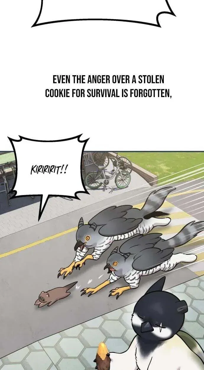 Hello, Griffin the Fluffy Bird! Chapter 50 387 6e583df82bfc