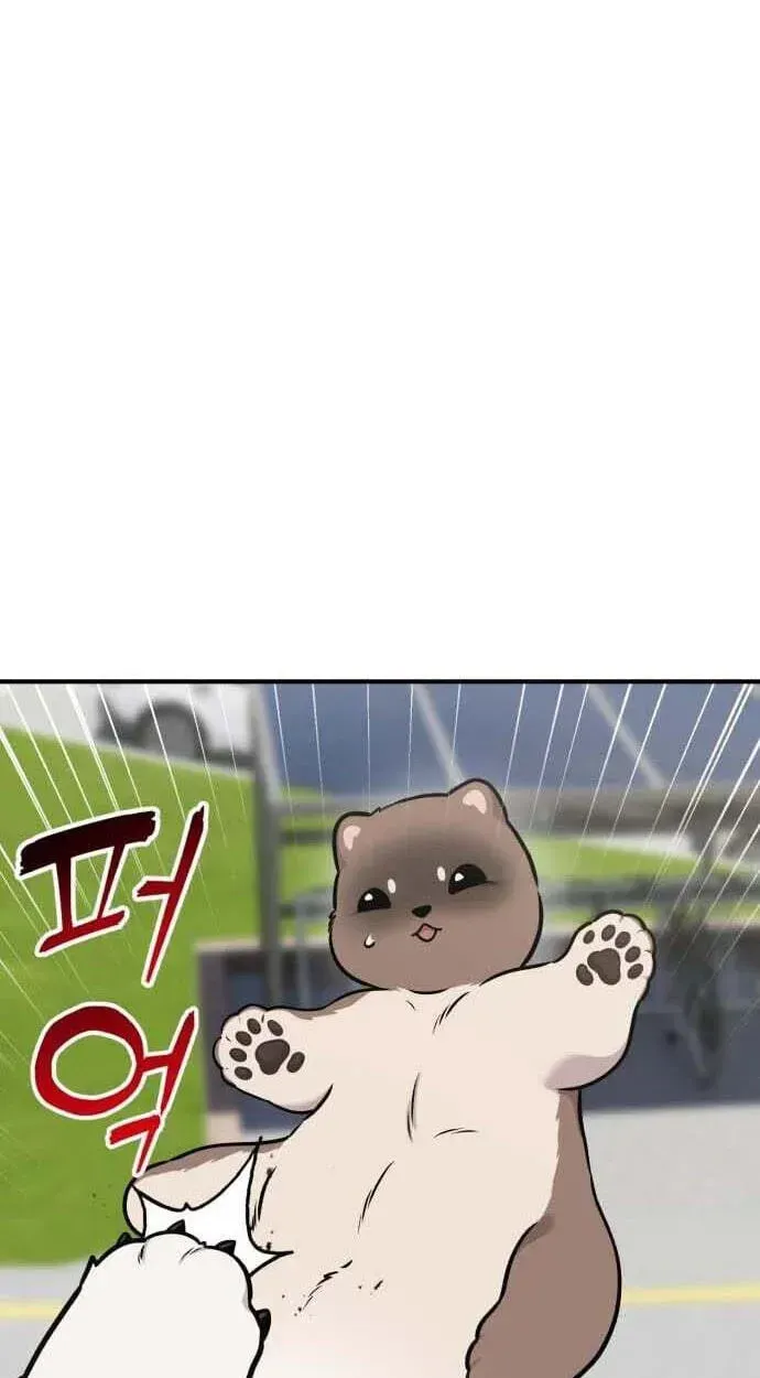Hello, Griffin the Fluffy Bird! Chapter 50 376 8d13a7bdaeaf