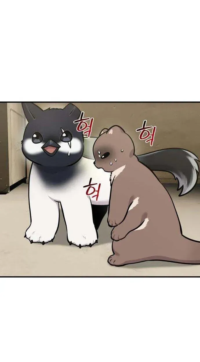 Hello, Griffin the Fluffy Bird! Chapter 50 369 90bd865dcdb4