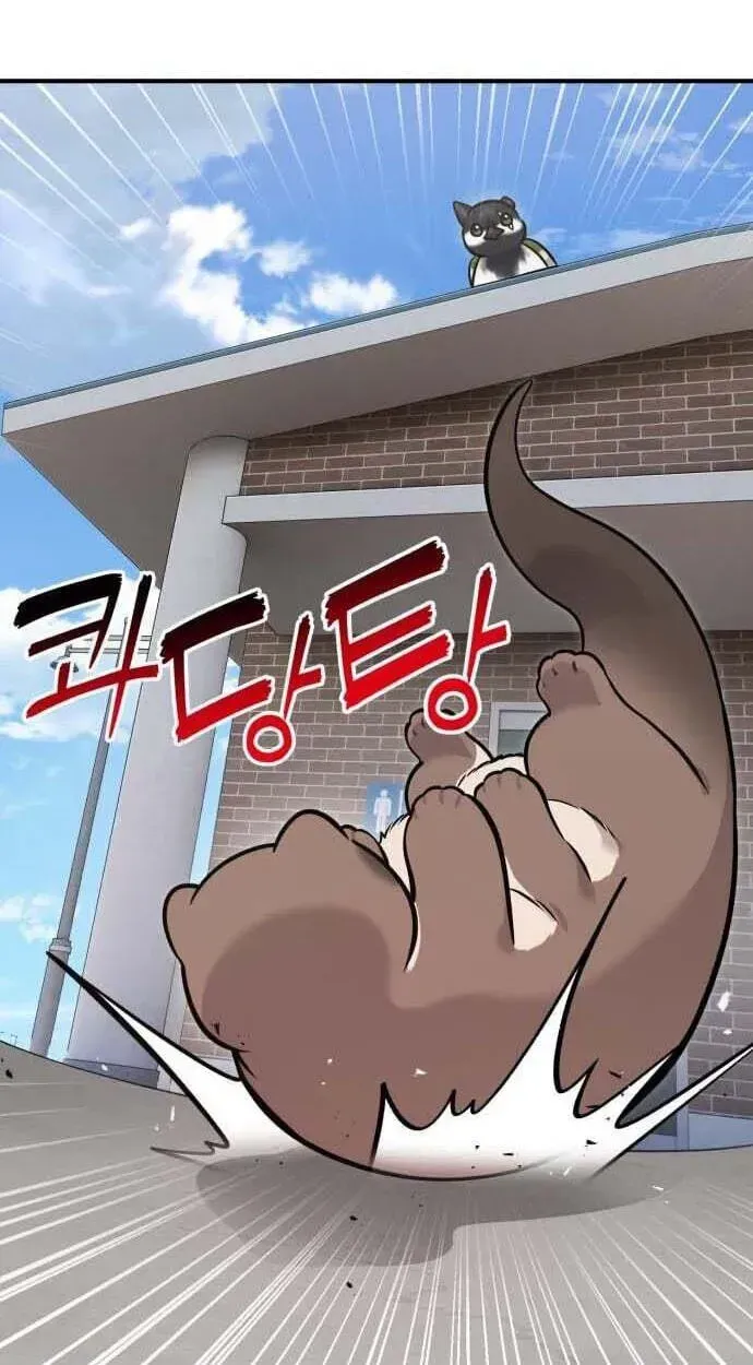 Hello, Griffin the Fluffy Bird! Chapter 50 378 a003b9f57e27