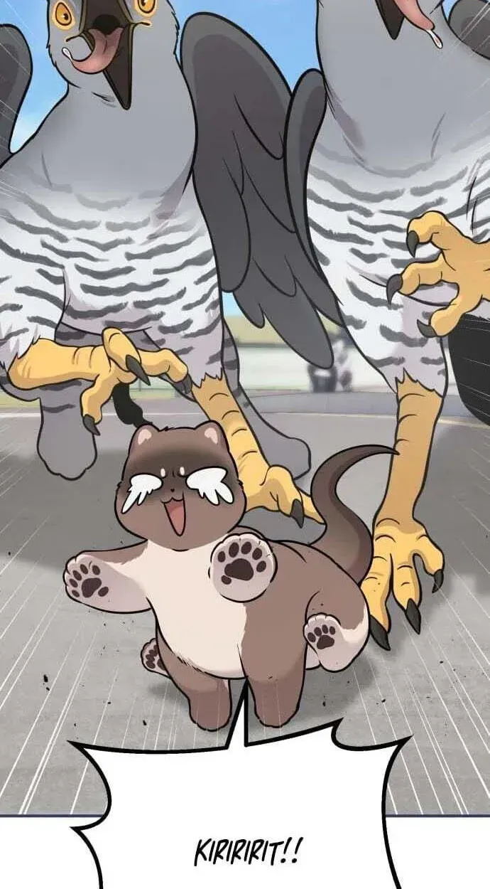 Hello, Griffin the Fluffy Bird! Chapter 50 386 a41c2b31388a