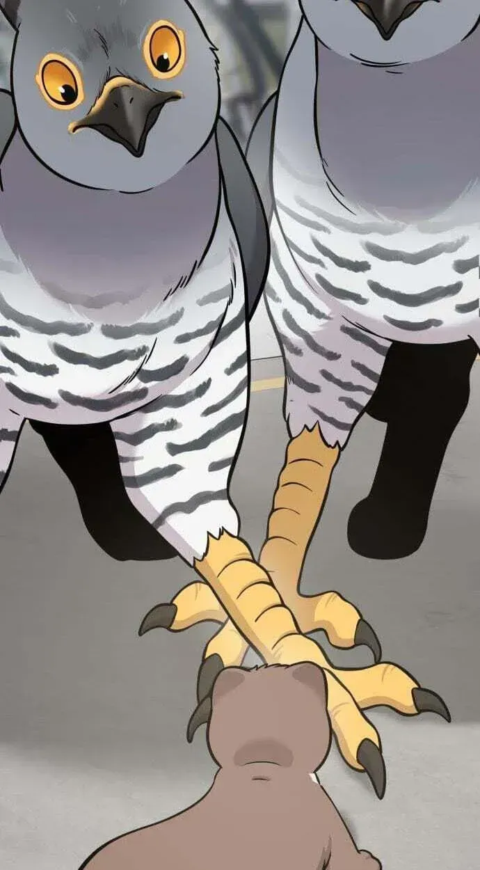 Hello, Griffin the Fluffy Bird! Chapter 50 383 bee74e983271