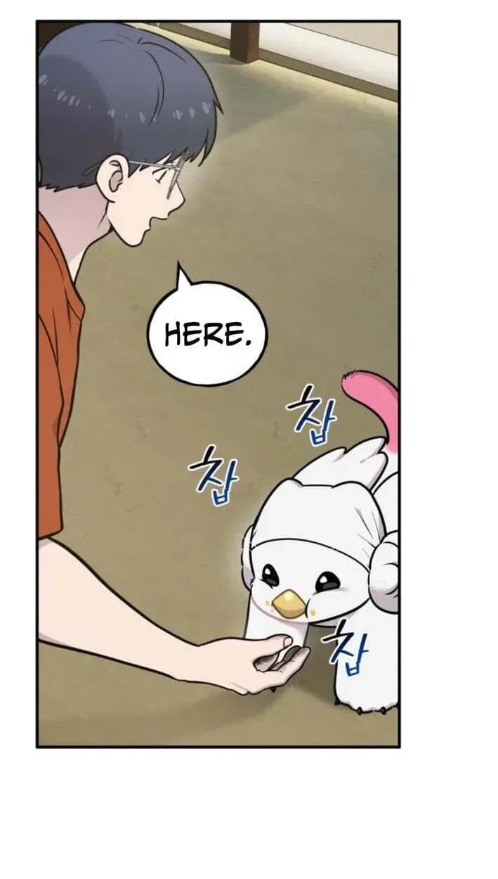Hello, Griffin the Fluffy Bird! Chapter 51 298 7b74639783cd