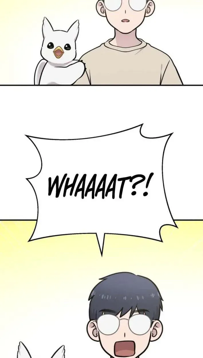 Hello, Griffin the Fluffy Bird! Chapter 51 358 bd8971c05a80