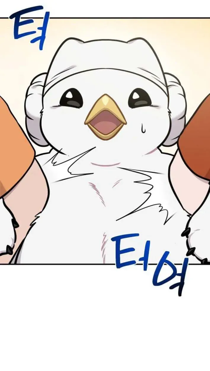 Hello, Griffin the Fluffy Bird! Chapter 51 322 fe355fcada2a