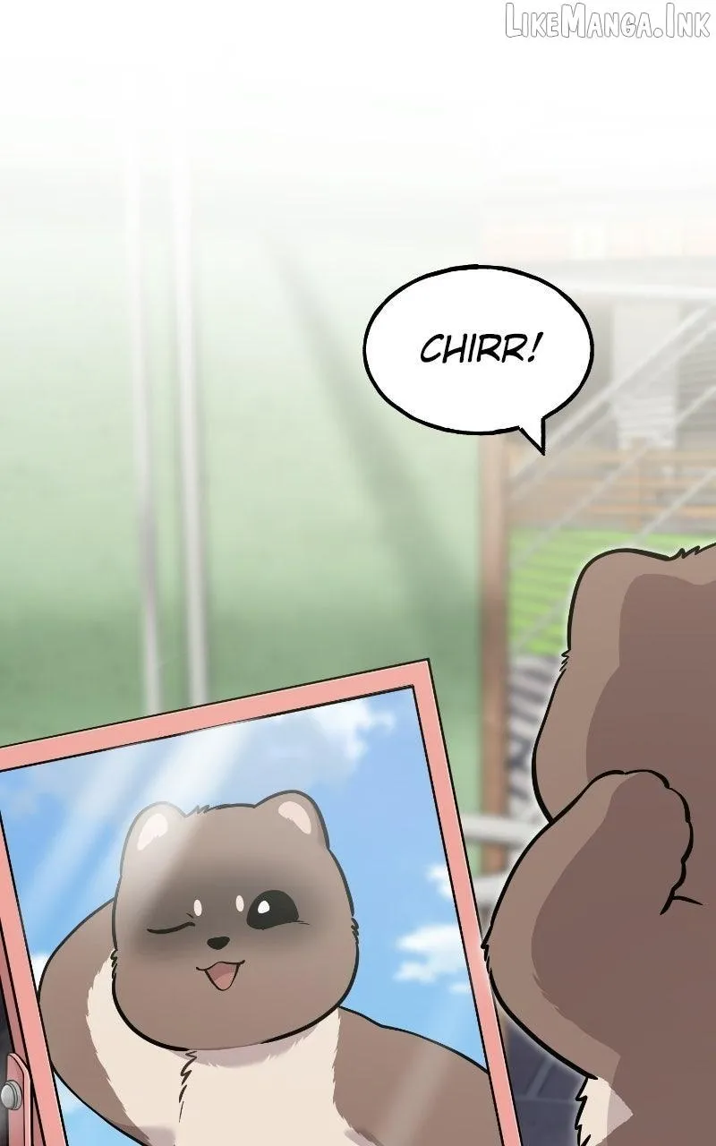 Hello, Griffin the Fluffy Bird! capítulo 52 página 63
