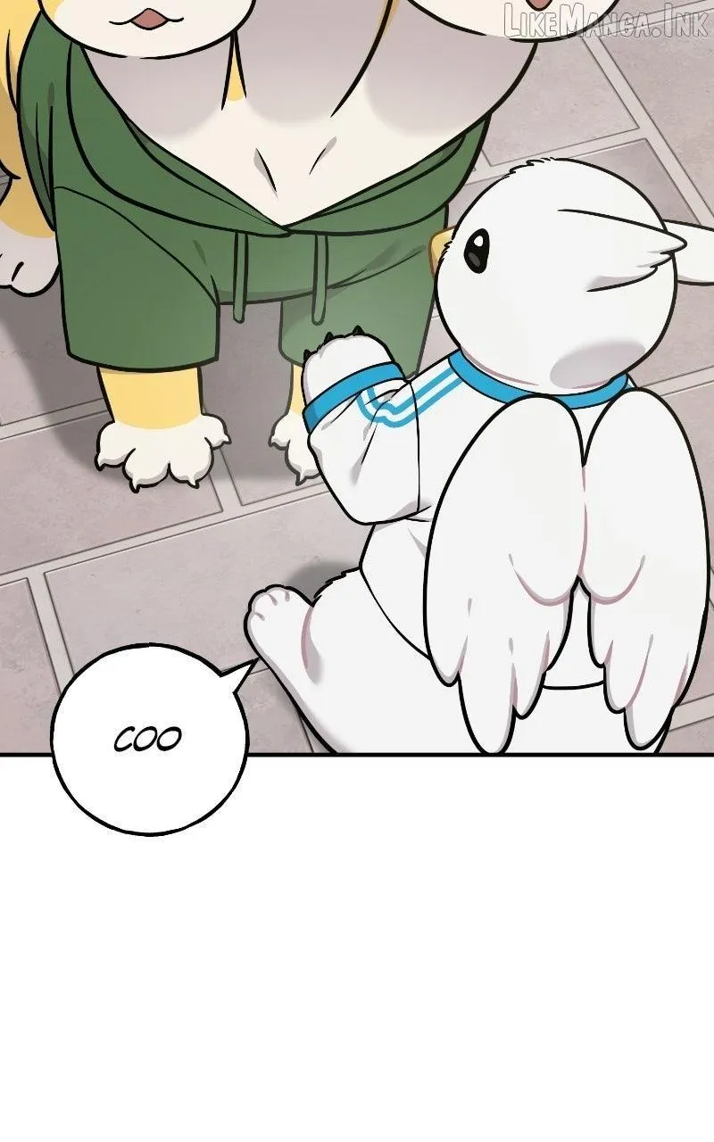 Hello, Griffin the Fluffy Bird! capítulo 52 página 54
