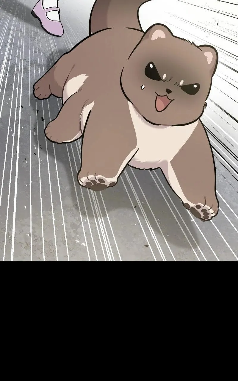 Hello, Griffin the Fluffy Bird! Chapter 53 365 01305ae9ae31