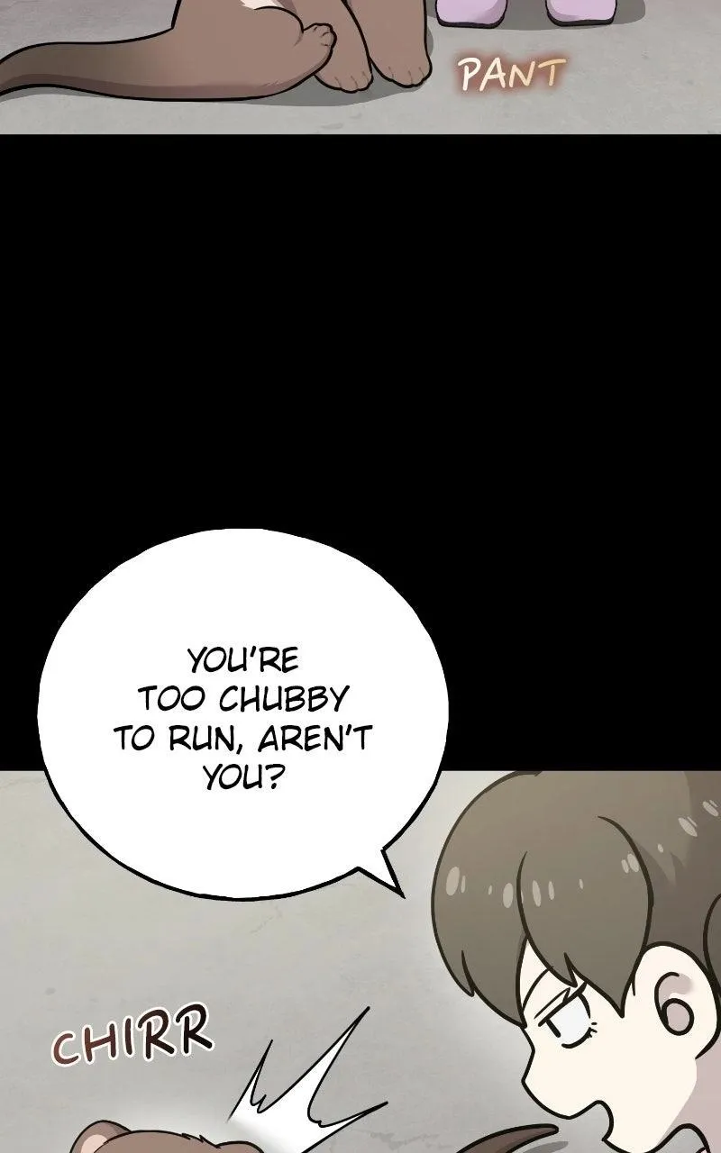 Hello, Griffin the Fluffy Bird! Chapter 53 368 17145f64d150