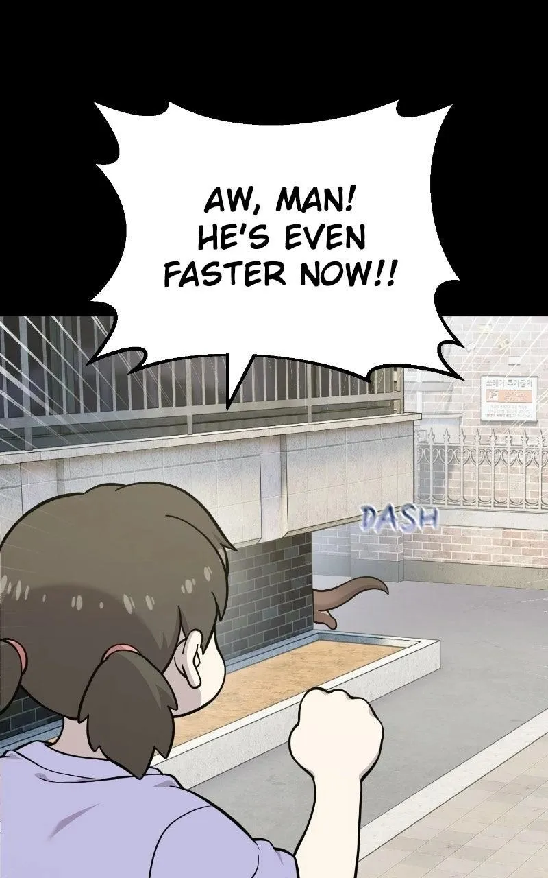 Hello, Griffin the Fluffy Bird! Chapter 53 394 55fb4126449f