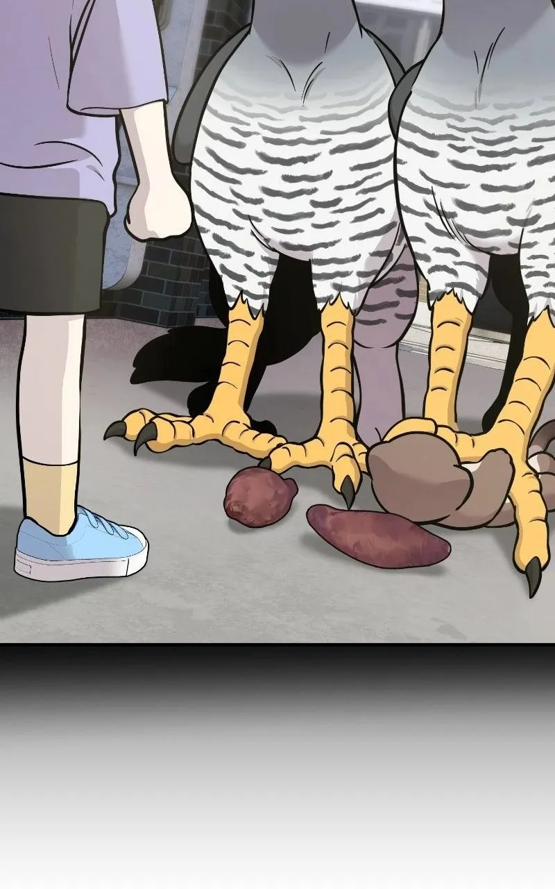 Hello, Griffin the Fluffy Bird! Chapter 53 403 5e788042c2fa