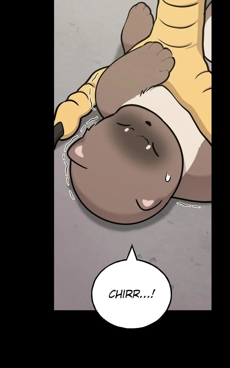 Hello, Griffin the Fluffy Bird! Chapter 53 401 8d1e0170bd29