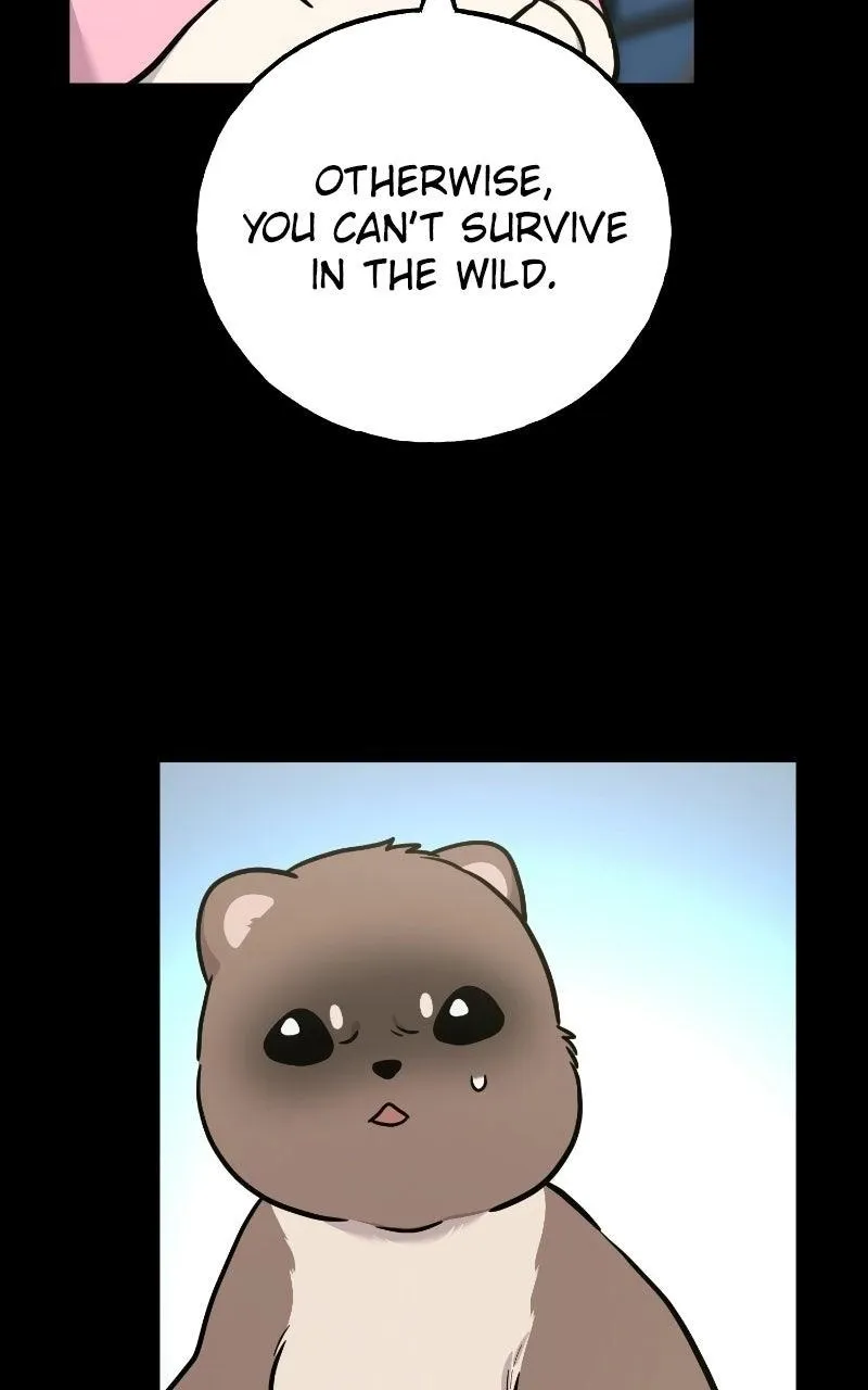 Hello, Griffin the Fluffy Bird! Chapter 53 371 a46d8ad1241c