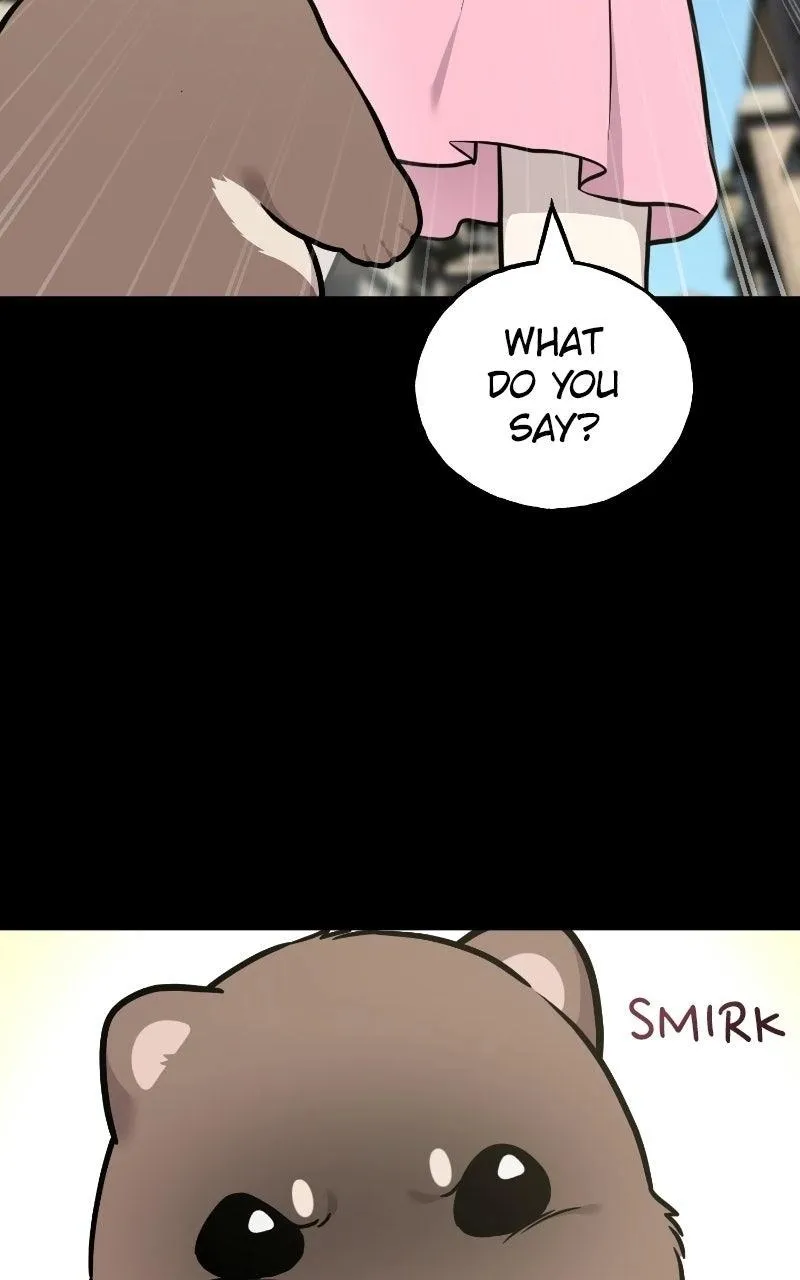 Hello, Griffin the Fluffy Bird! Chapter 53 374 e1714b9d78db