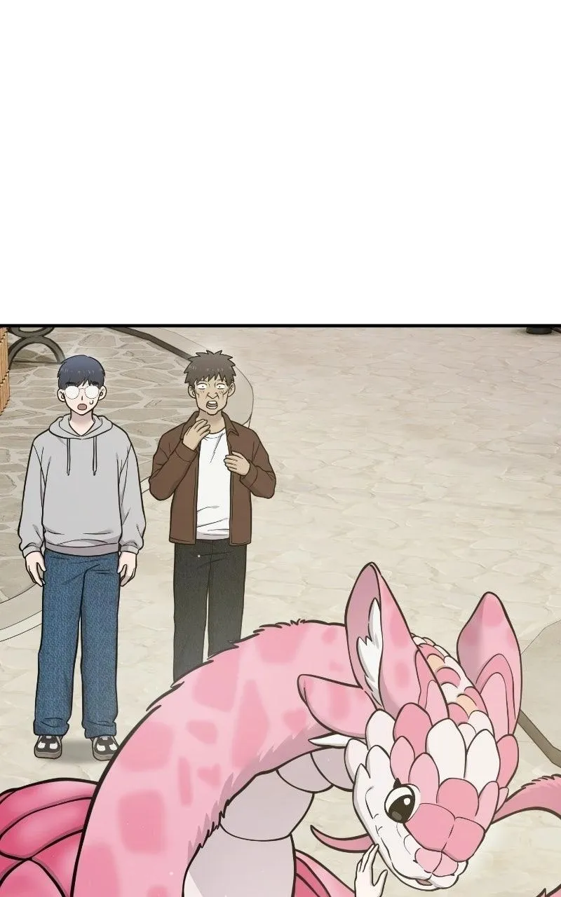 Hello, Griffin the Fluffy Bird! Chapter 53 310 eefc3d74289c