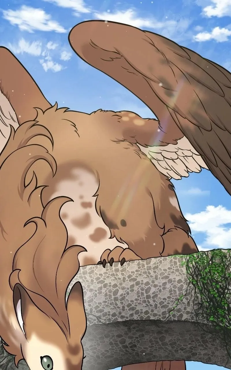 Hello, Griffin the Fluffy Bird! Chapter 53 308 f42fb2015a07