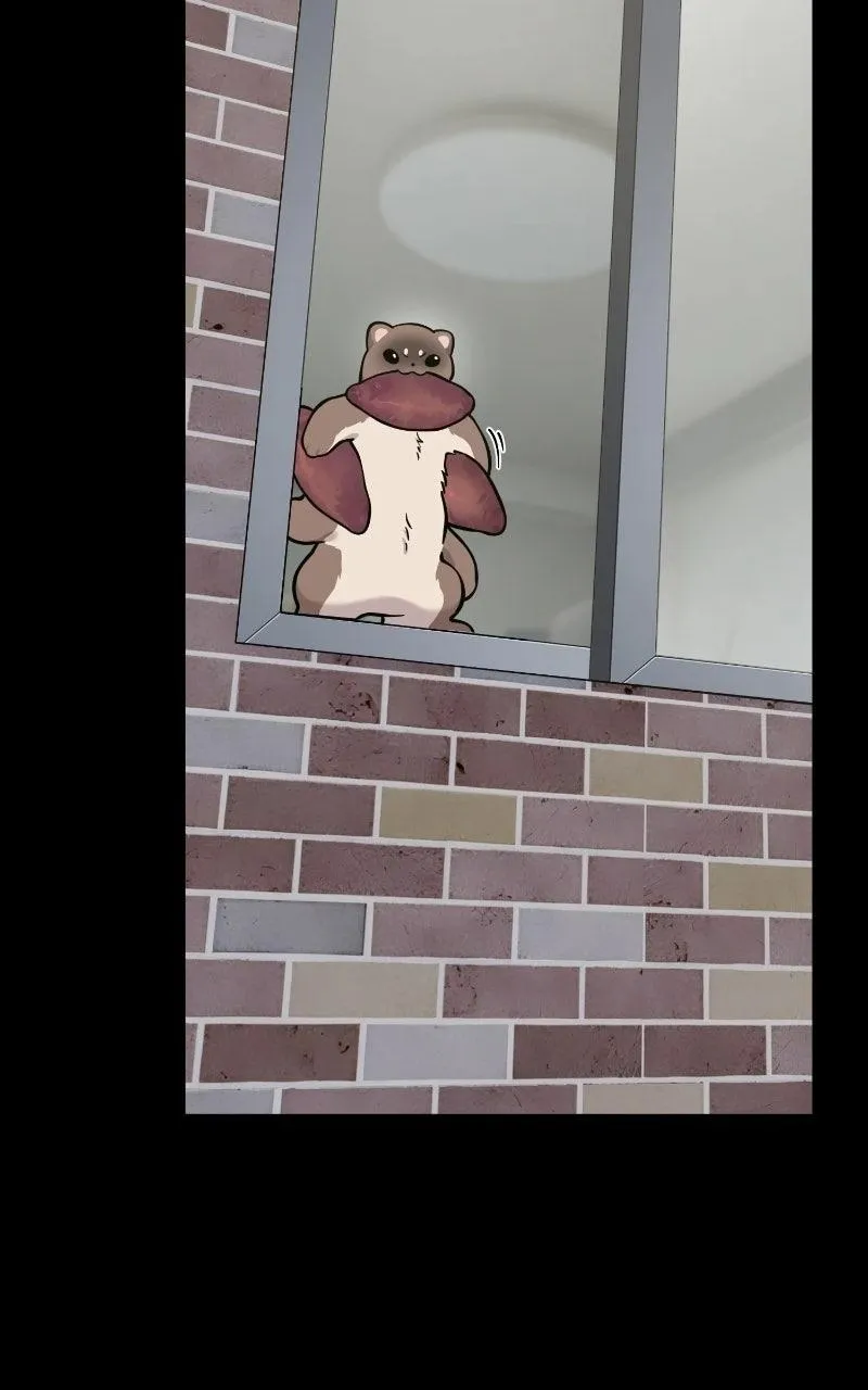 Hello, Griffin the Fluffy Bird! Chapter 53 391 f9f3dd1d25b6