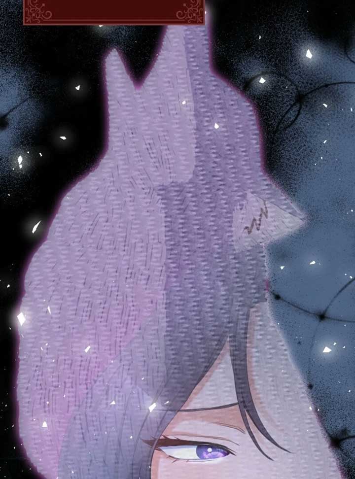 ch 2 19