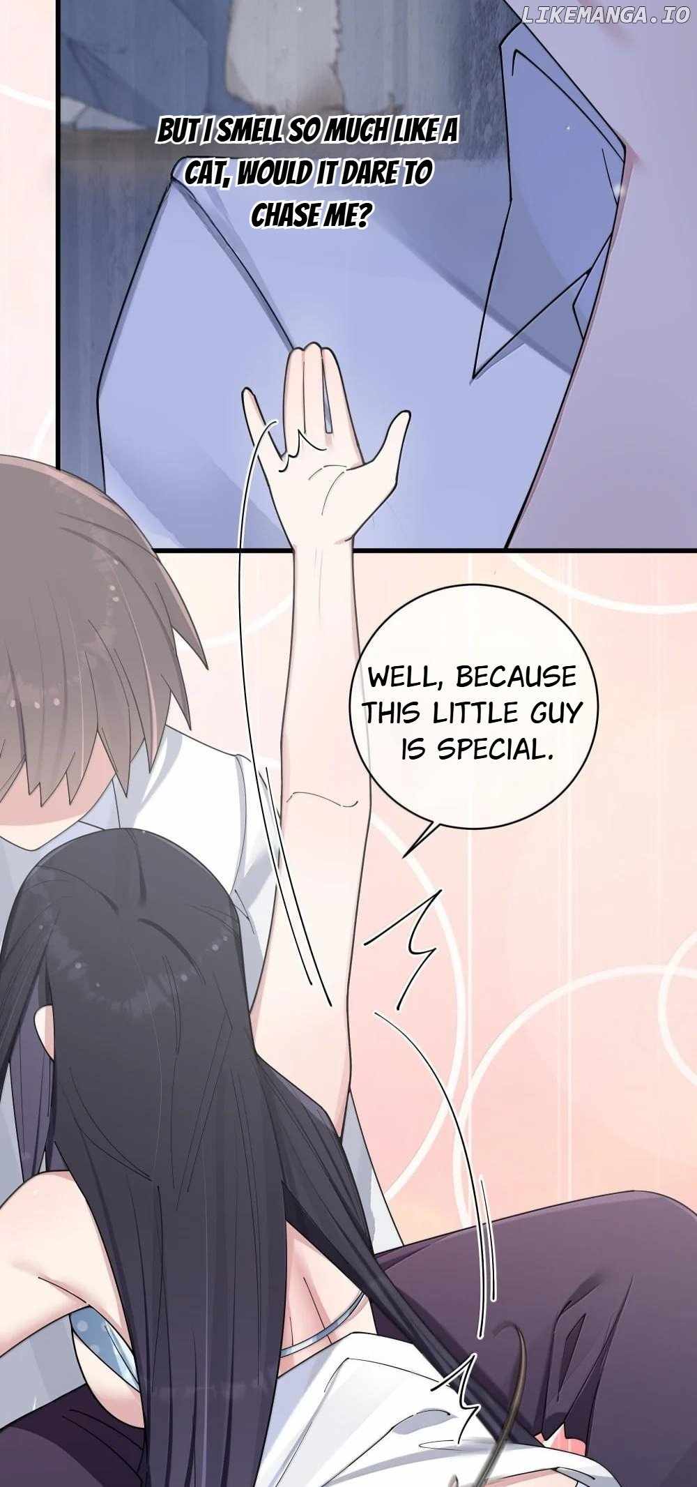 My Fake Girlfriends Are Using Me as a Shield Chapter 150 162 19