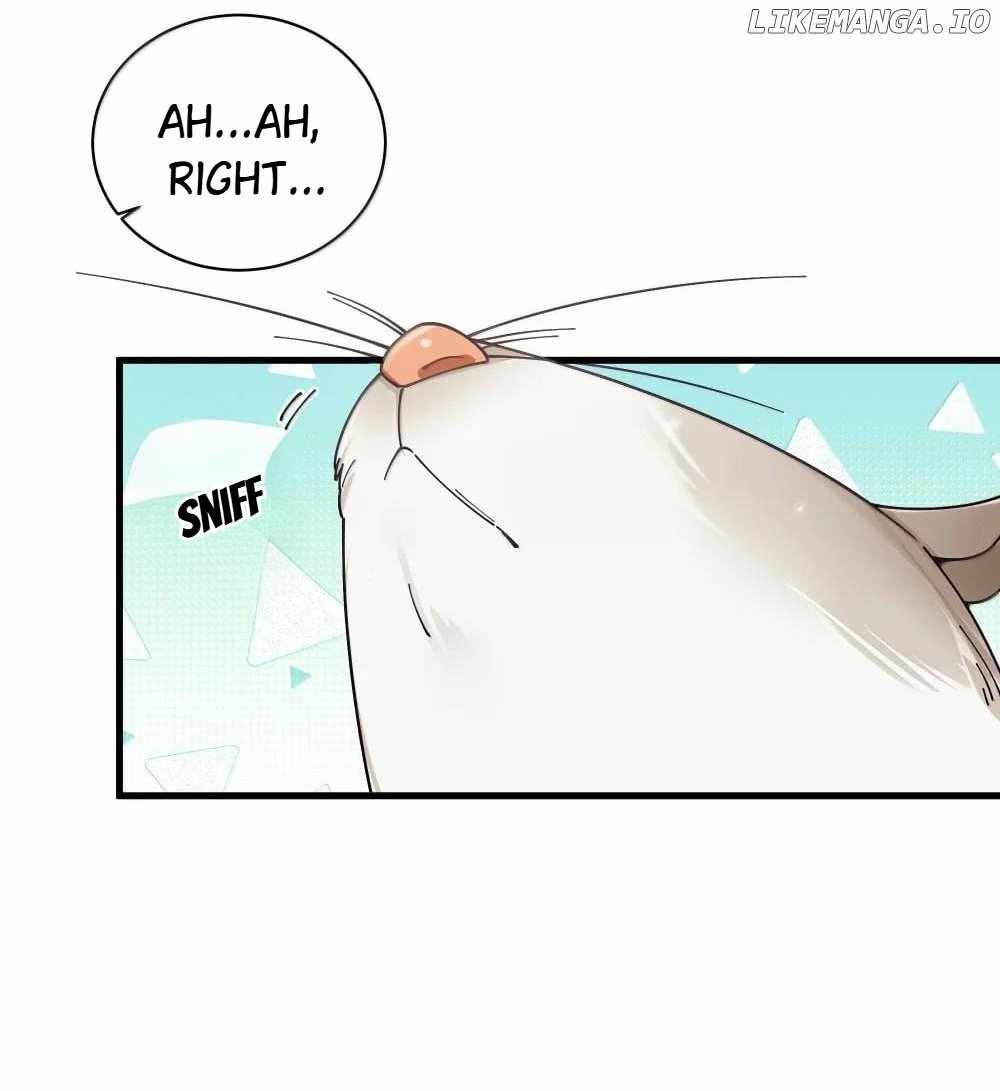 My Fake Girlfriends Are Using Me as a Shield Chapter 150 151 8