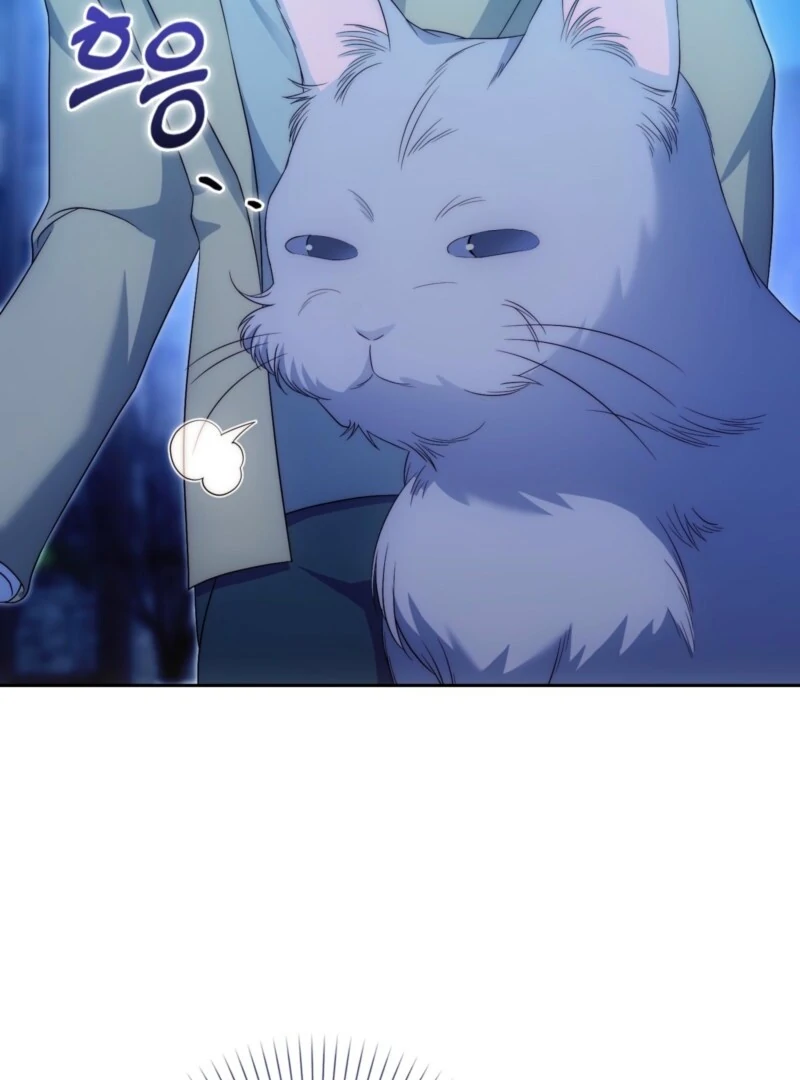 161