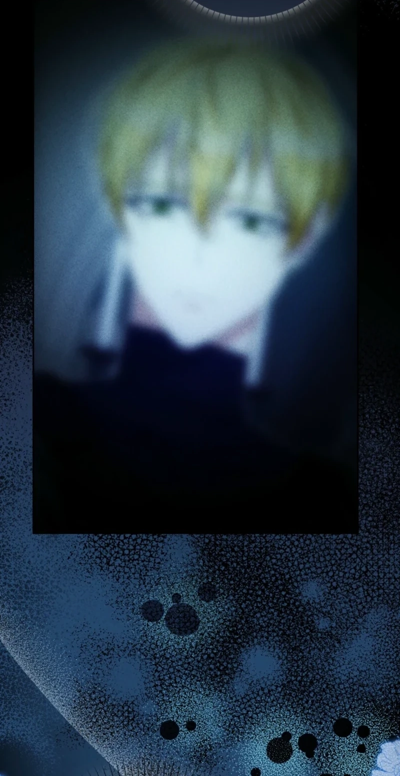 0753d76b5876