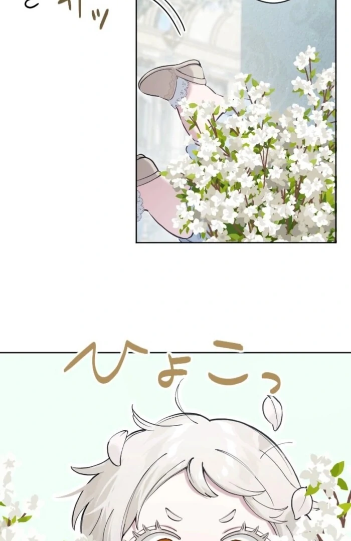 ch 22 24
