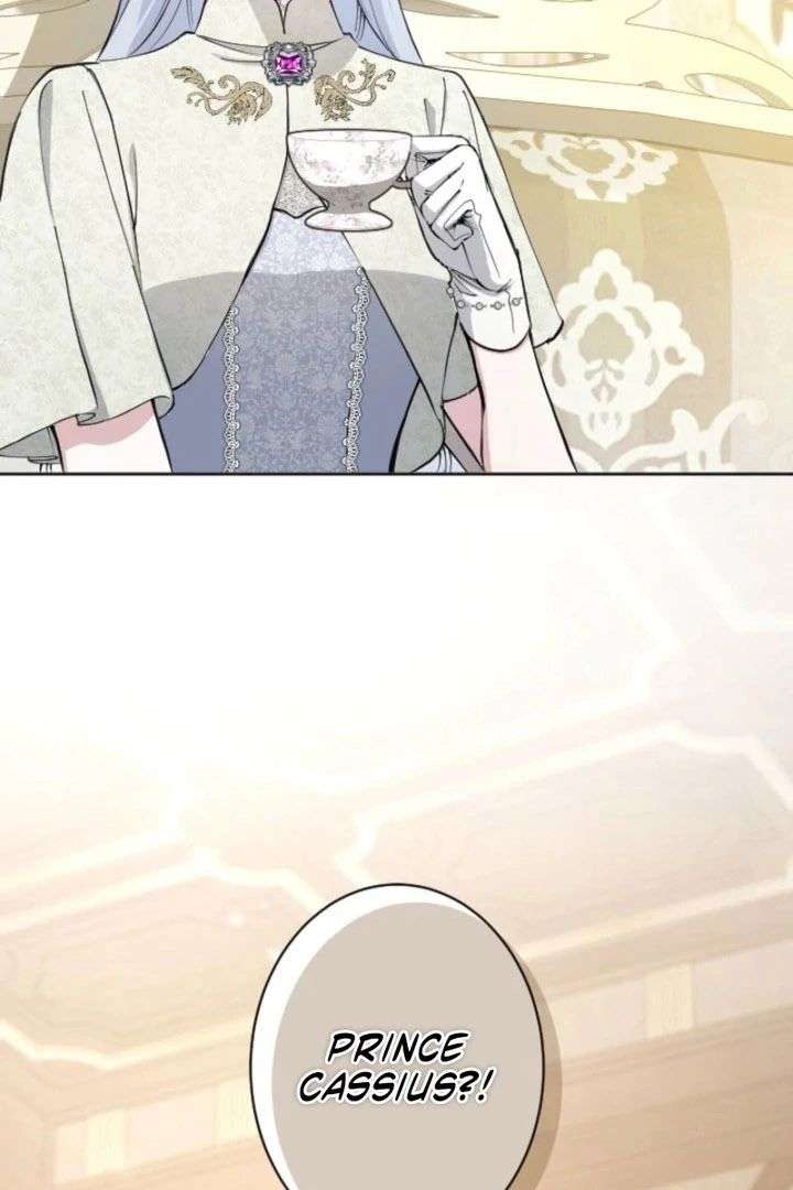 113