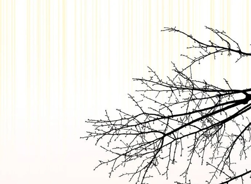 Single Dad In Another World Chapter 25 498 017