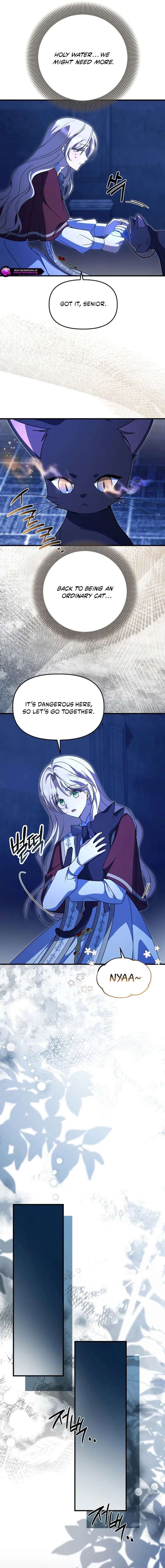 ch 51 3