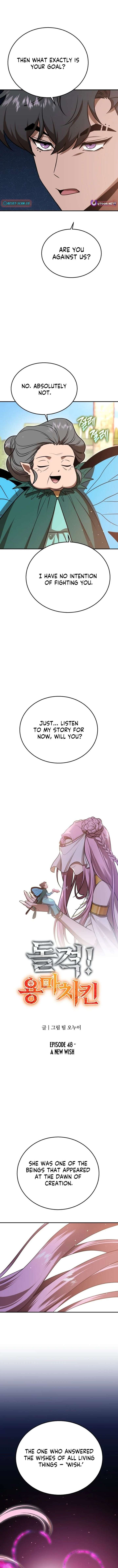 ch 48 3