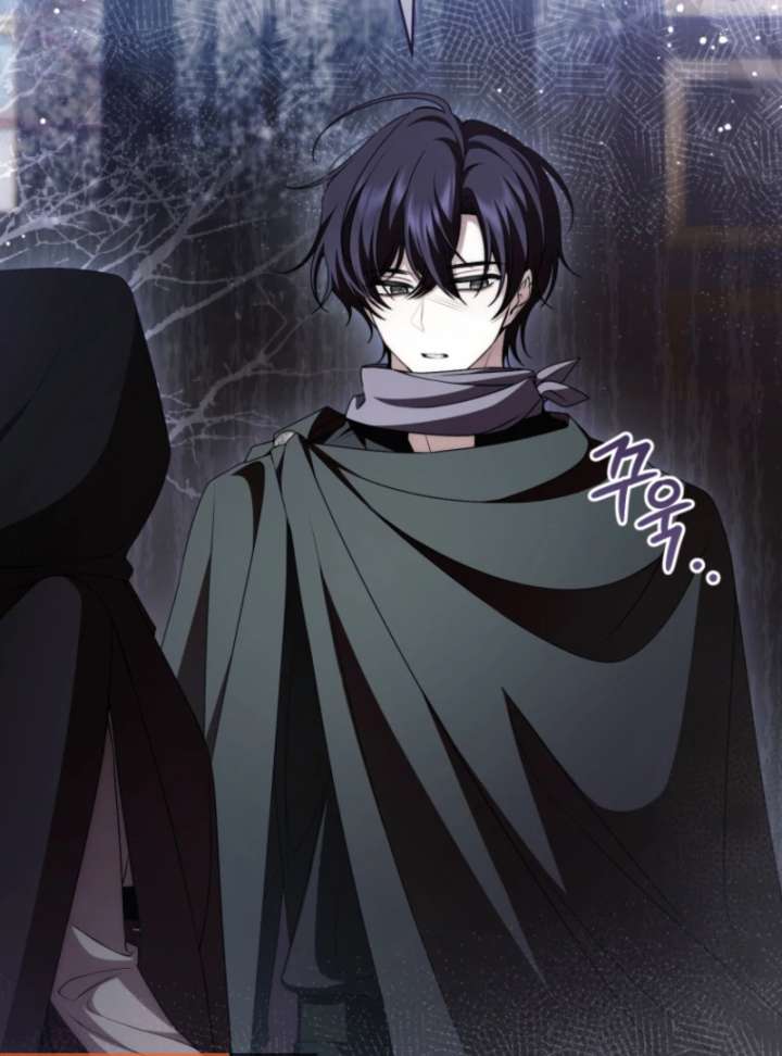 I Healed The Male Lead’s Trauma Chapter 29 335 019