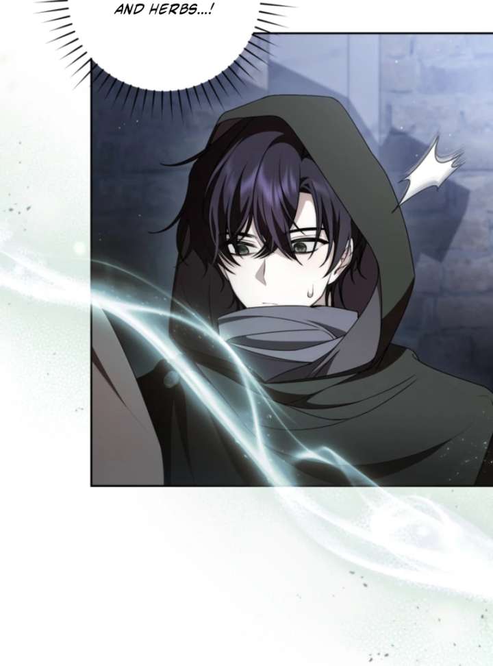 I Healed The Male Lead’s Trauma Chapter 29 377 061