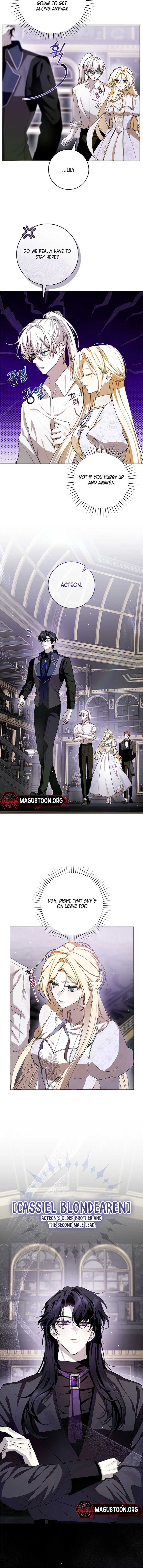 ch 4 6