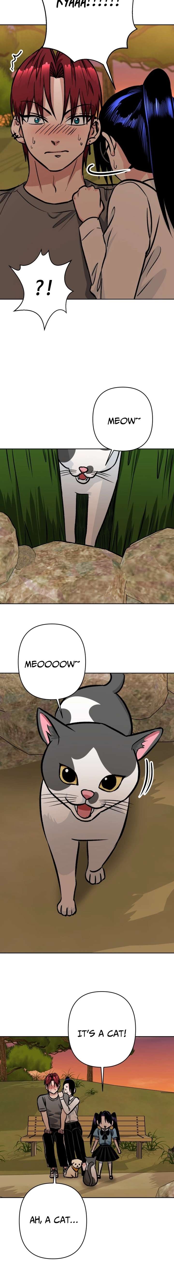 ch 39 20