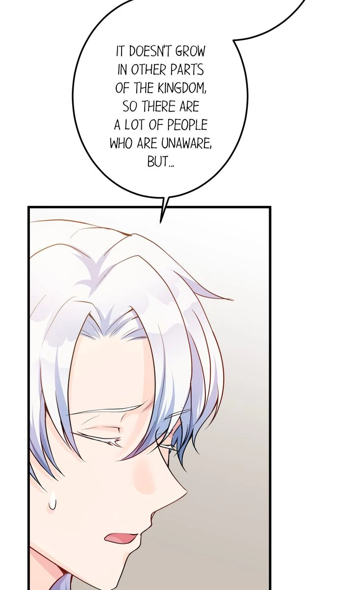 The Caring Young Lady Wants to Be a Wall Chapter 22 364 66