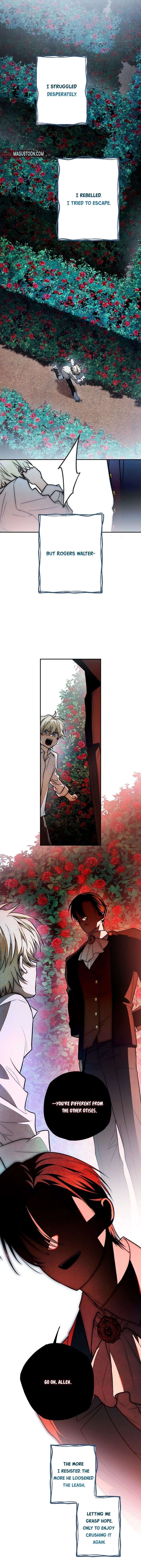 ch 37 17
