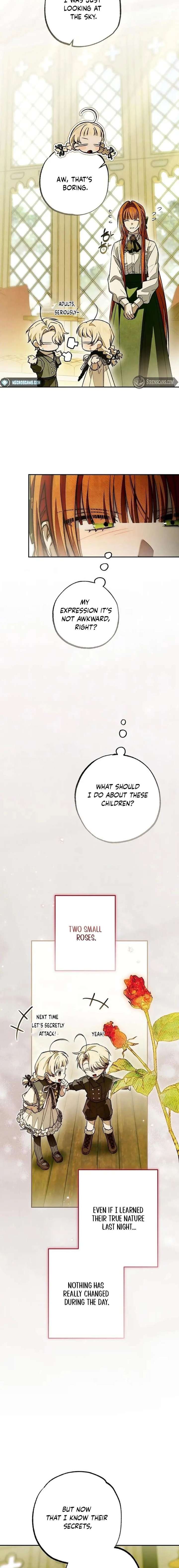 ch 41 5