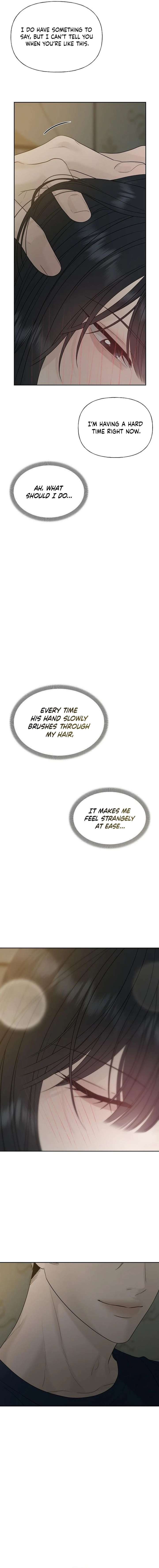 ch 39 20