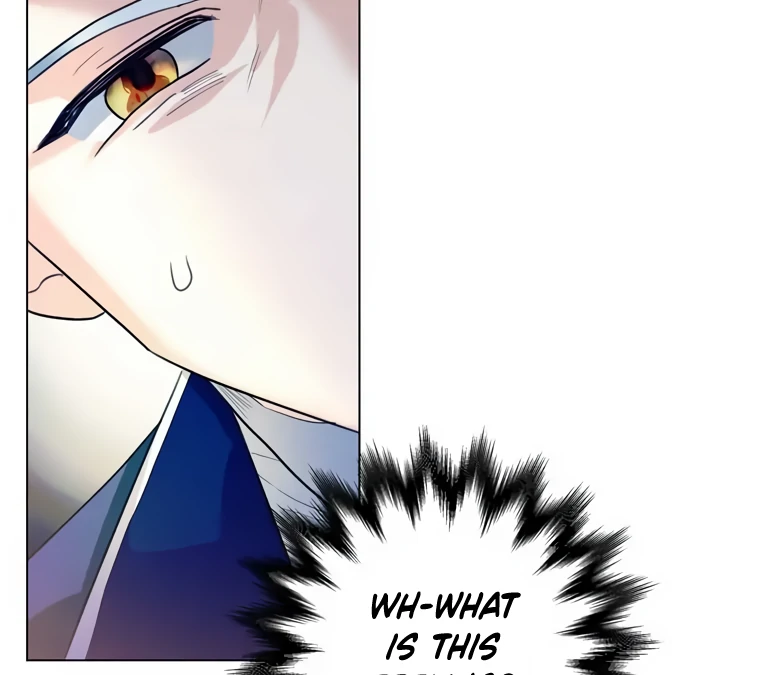 ch 1 81