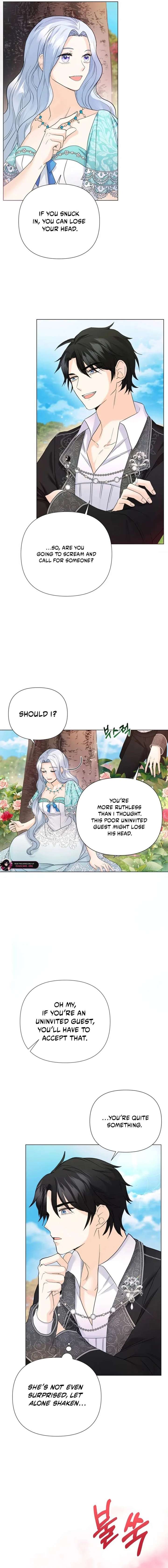 ch 6 11